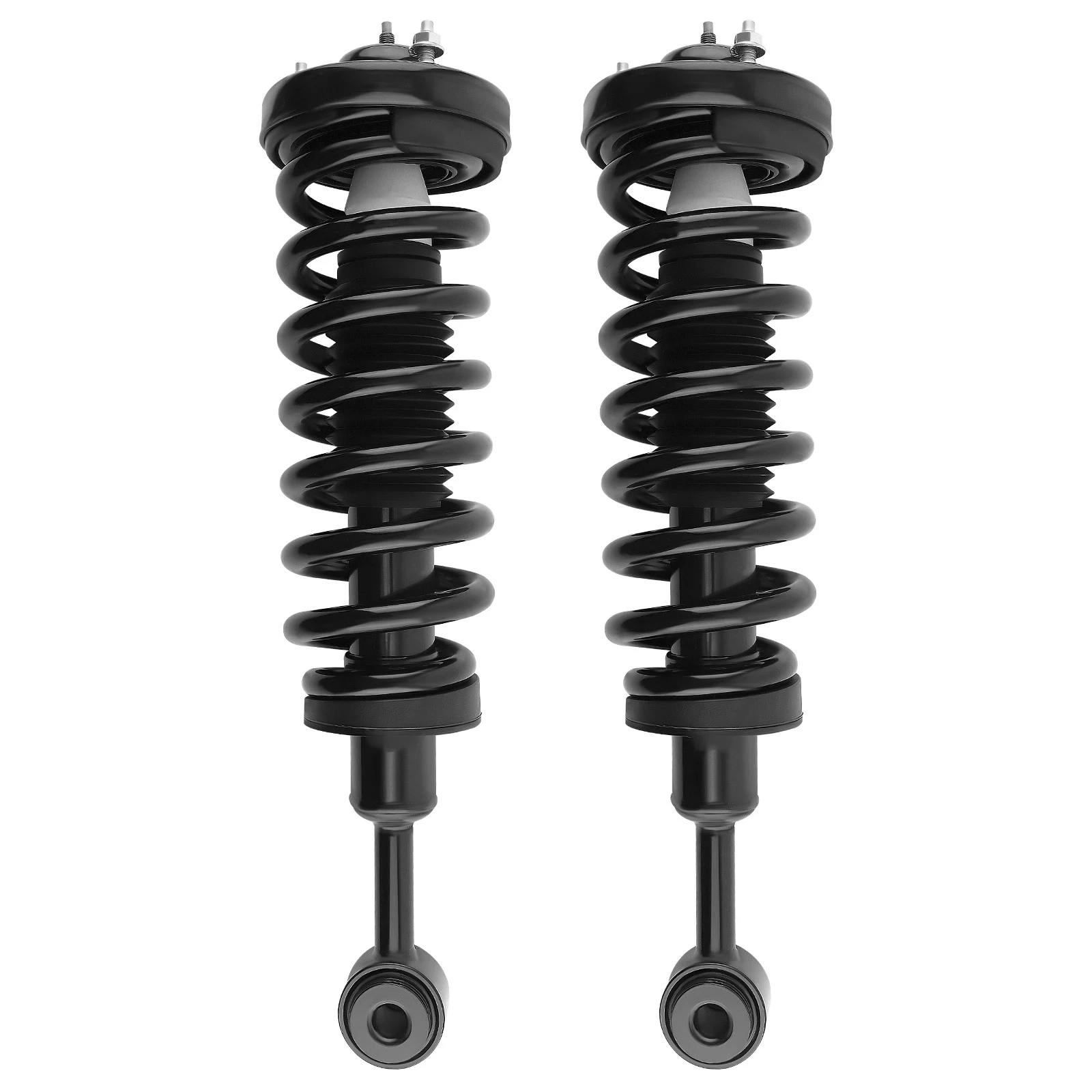 

Front Struts w/ Coil Spring Assembly For Ford F-150 4WD 2004-2008 1336326