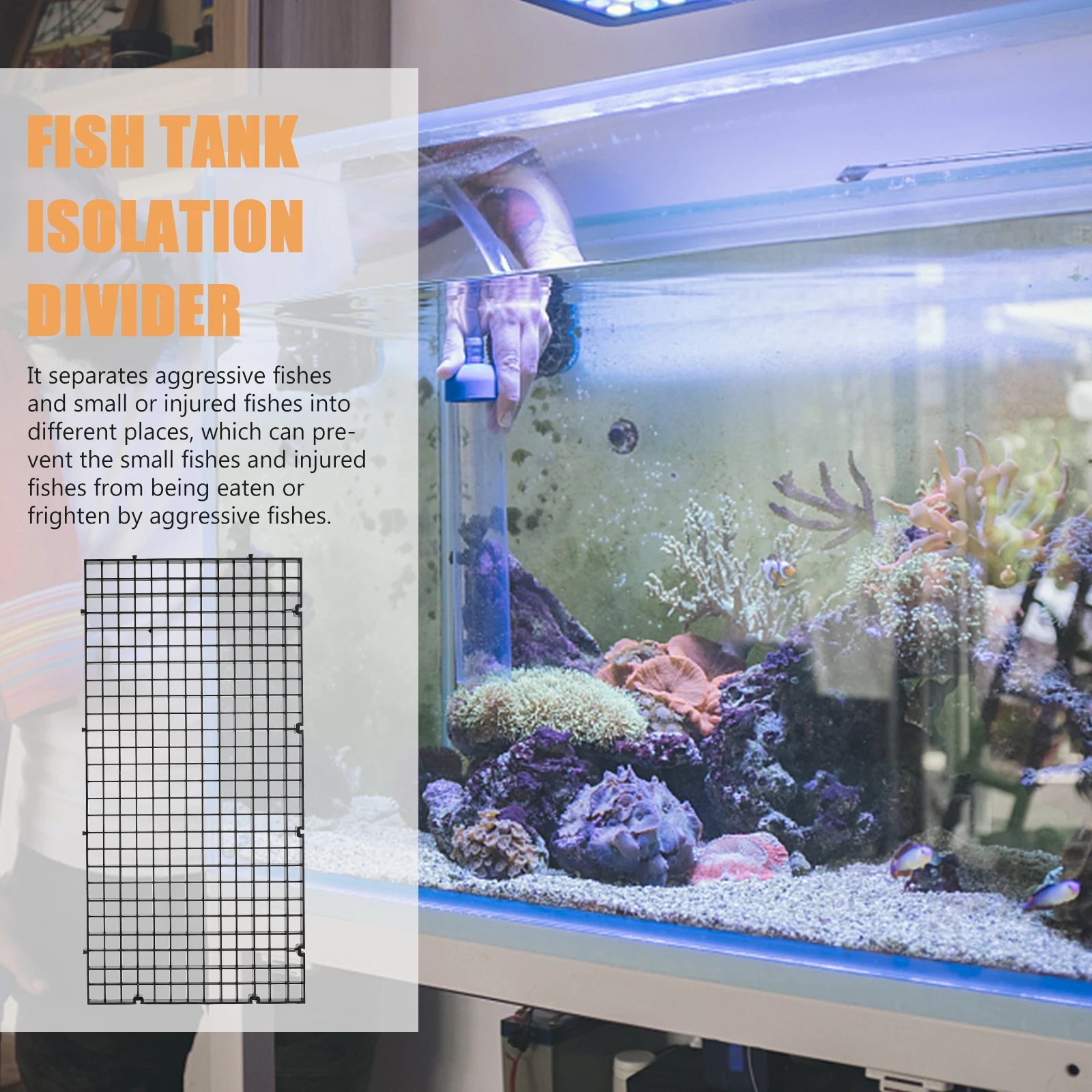 

6pcs Fish Tank Isolation Divider Aquarium Filter Grid Plate Bottom Net Separator Holder Durable Rust Resistant Pet Supplies