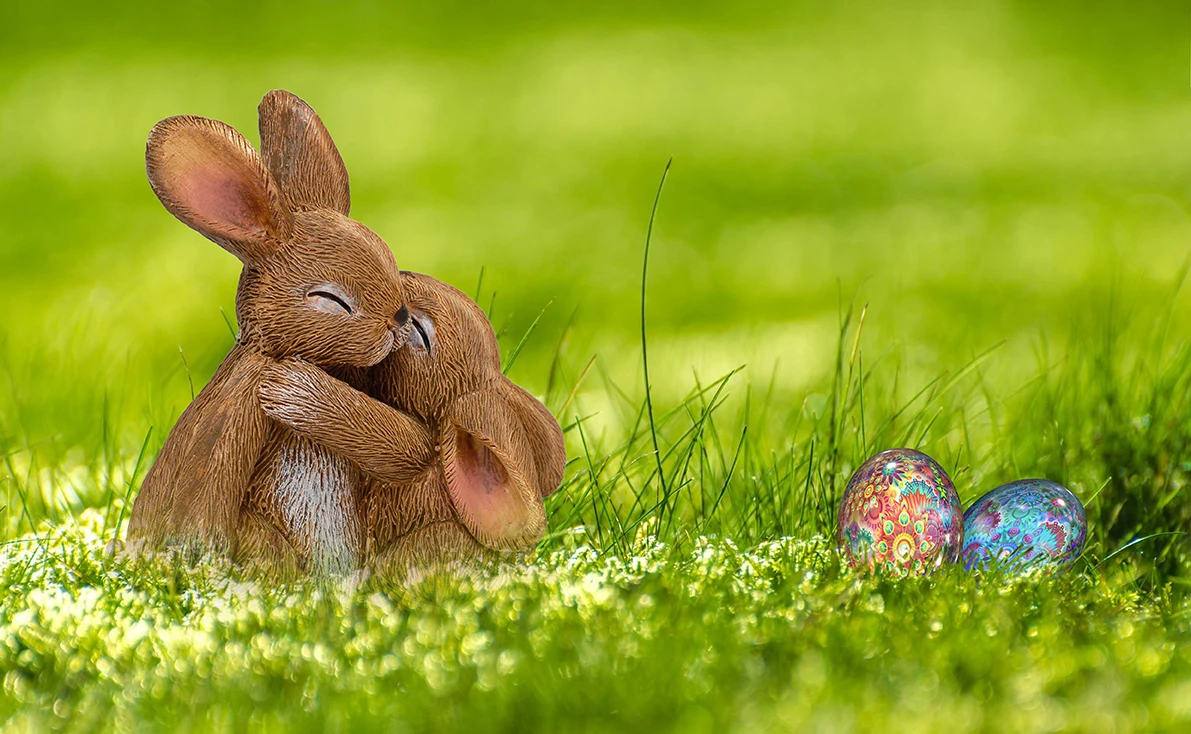 Portrait de bébé mignon lapin de Pâques, panier d'oeuf, joli décor de vacances, ciel bleu, pelouse verte, fond de studio photo, enge