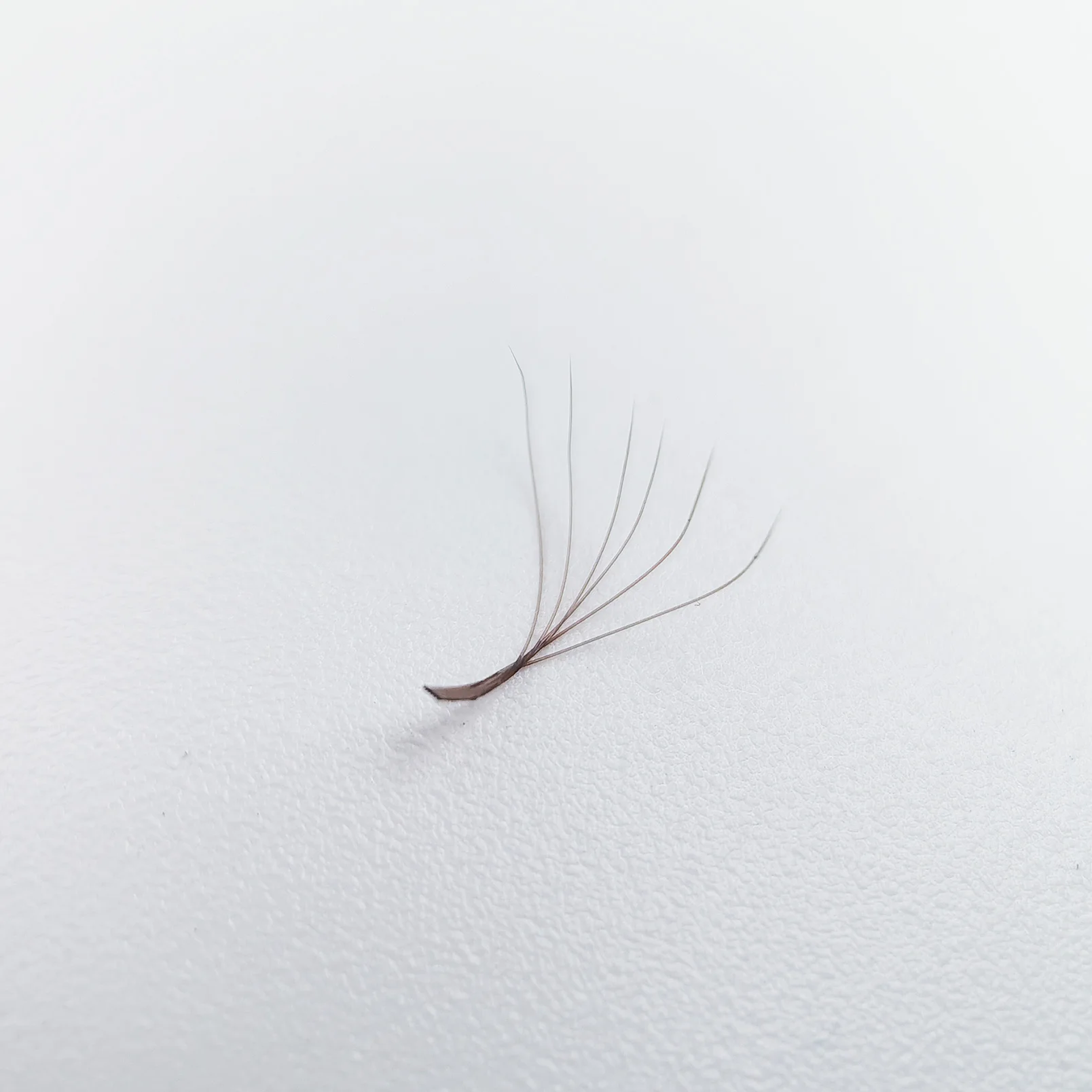 Supmacio Brown 3D/4D/5D W Lashes Bloom Automatische Blüte Weiche vorgefertigte Fächer Natürliche weiche Einzelwimpern – Detail 4