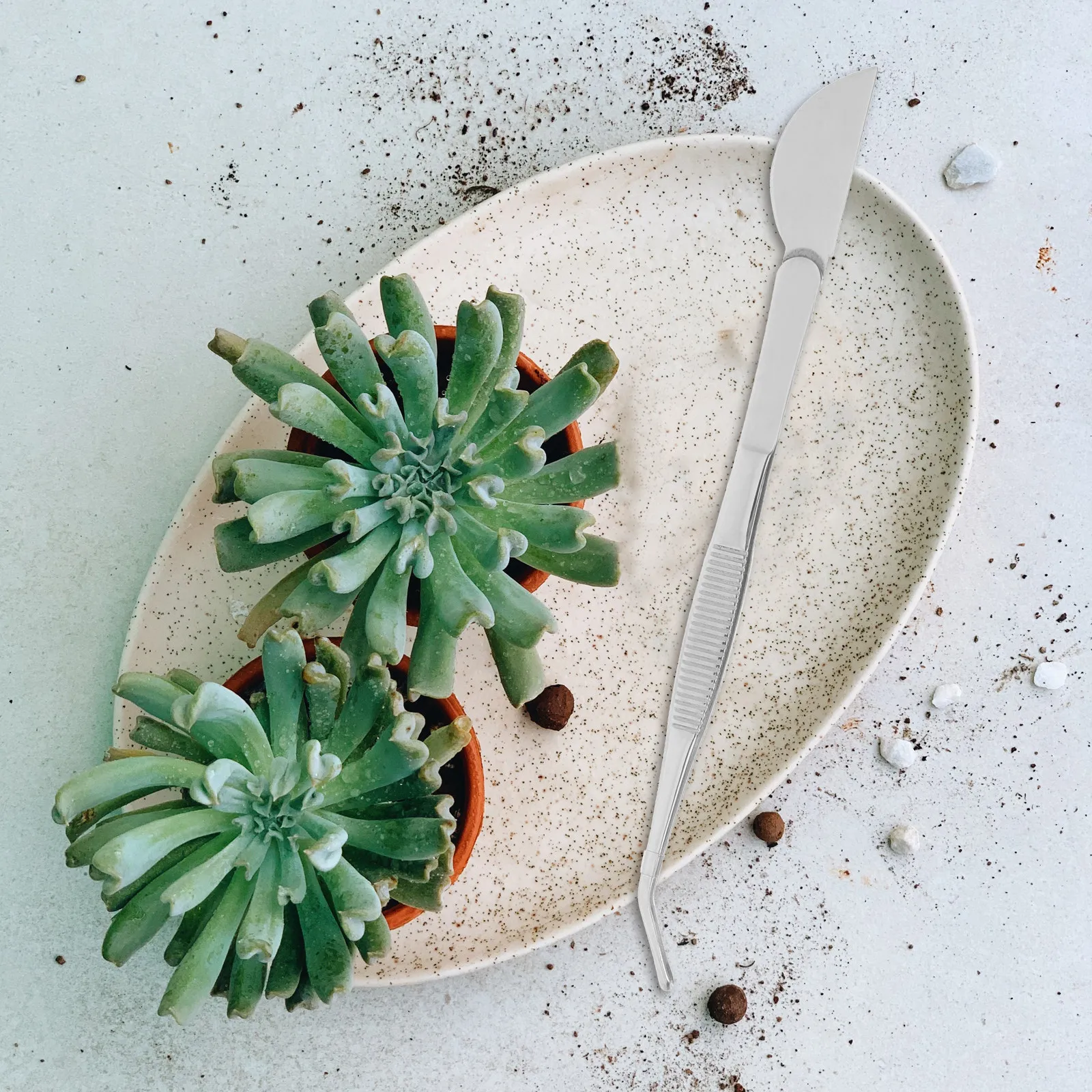 

1Set Bonsai Tools Stainless Steel Tweezers Rake Garden Planting Multitool for Small Plants Succulents Indoor Potted Plants