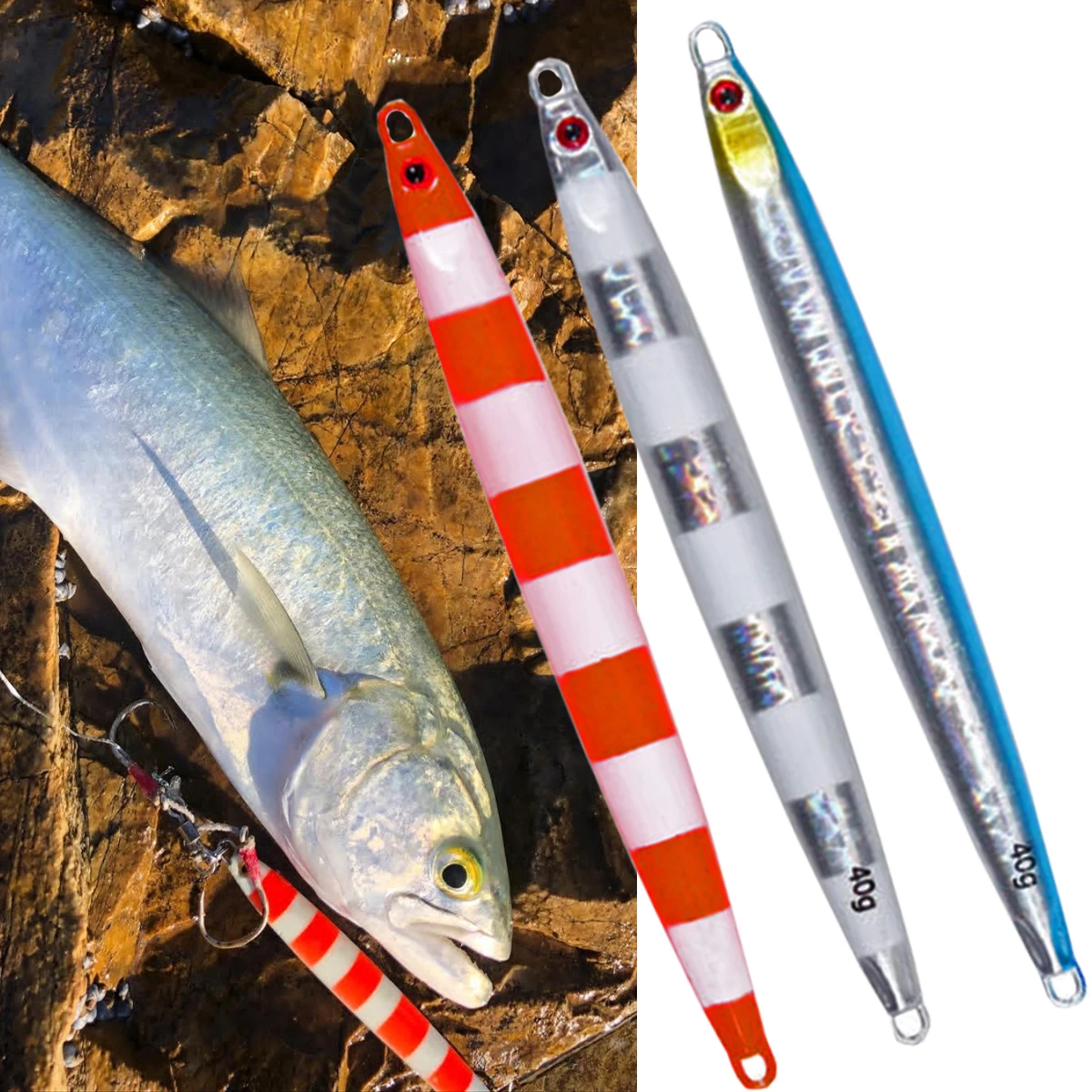 Deep Sea Bait Fish …