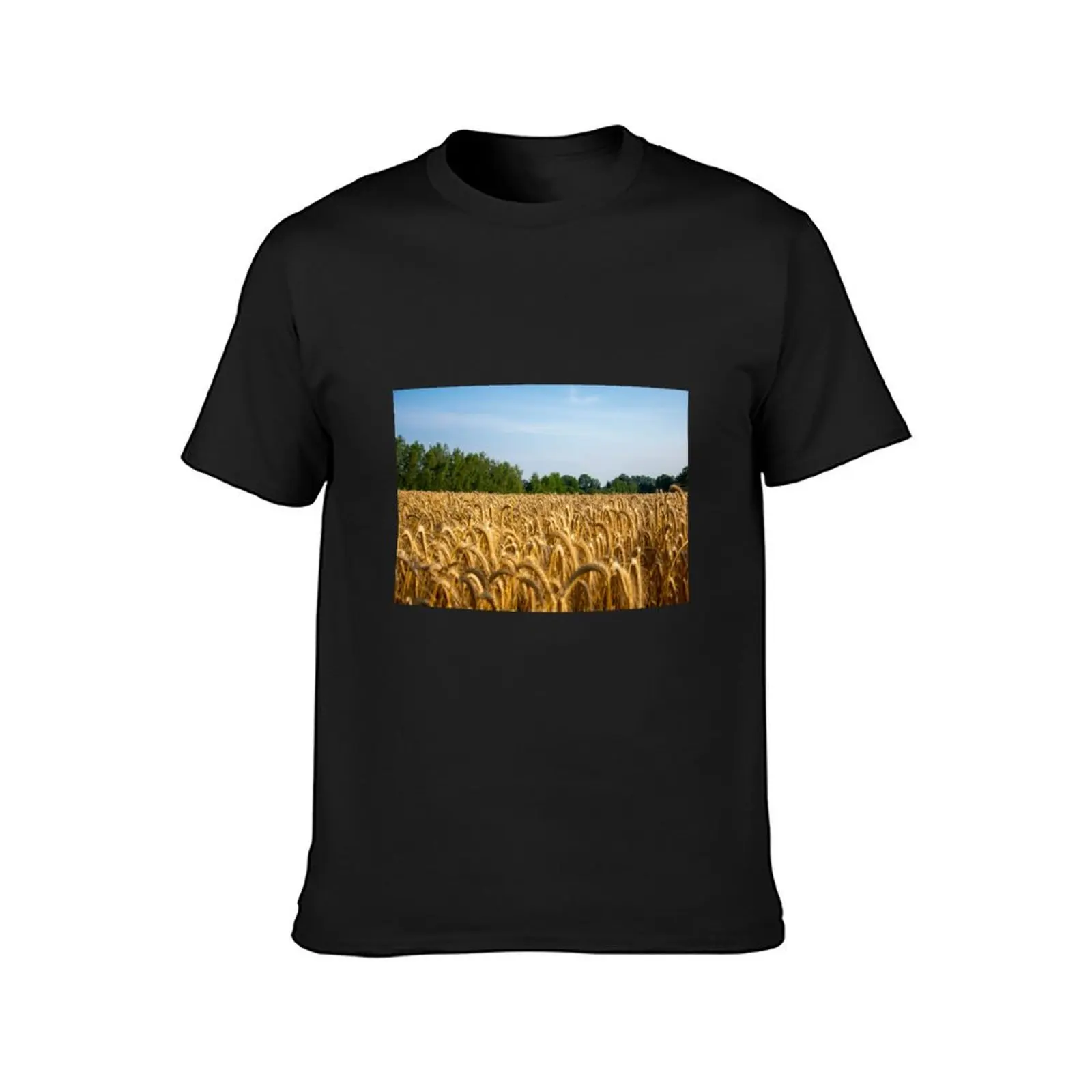 Golden yellow wheat field T-Shirt oversizeds plain customizeds t shirts for men cotton