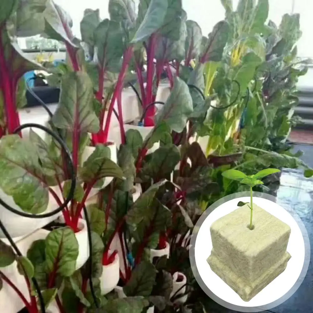 Кубики-из-натуральной-каменной-ваты-для-гидропоники-50-шт-волокнистые-губки-для-выращивания-растений-впитывающие-для-гидропоники