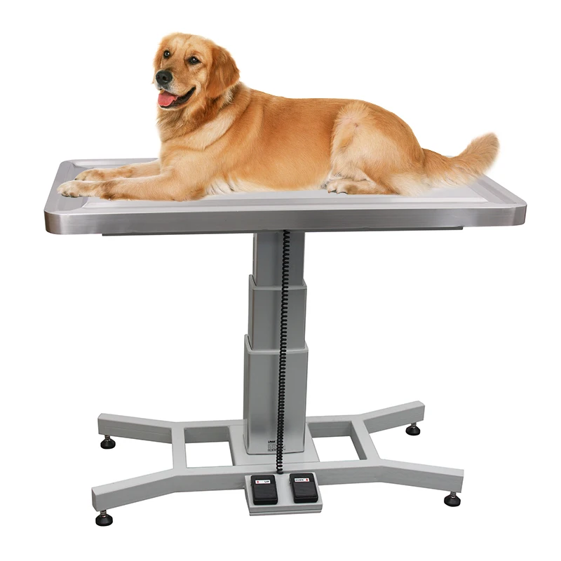 

High Quality Stainless Steel Pedestal Exam Table With Tilting For Vet Hospital