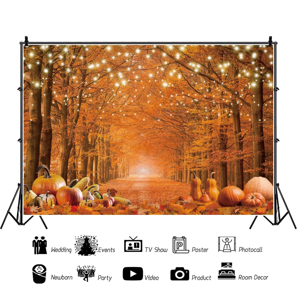 خلفية صور الخريف للتصوير الفوتوغرافي ، خلفية غابة الخريف ، أوراق القيقب لعيد الشكر ، يقطين الصديق ، ديكور الحفلات