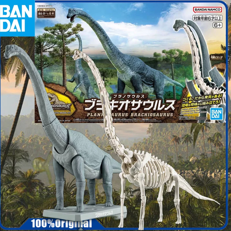 Bandai Original  PLANNOSAURUS BRACHIOSAURUS   Anime Action Figure Assembly Model Toys Collectible Model Ornaments Gifts For