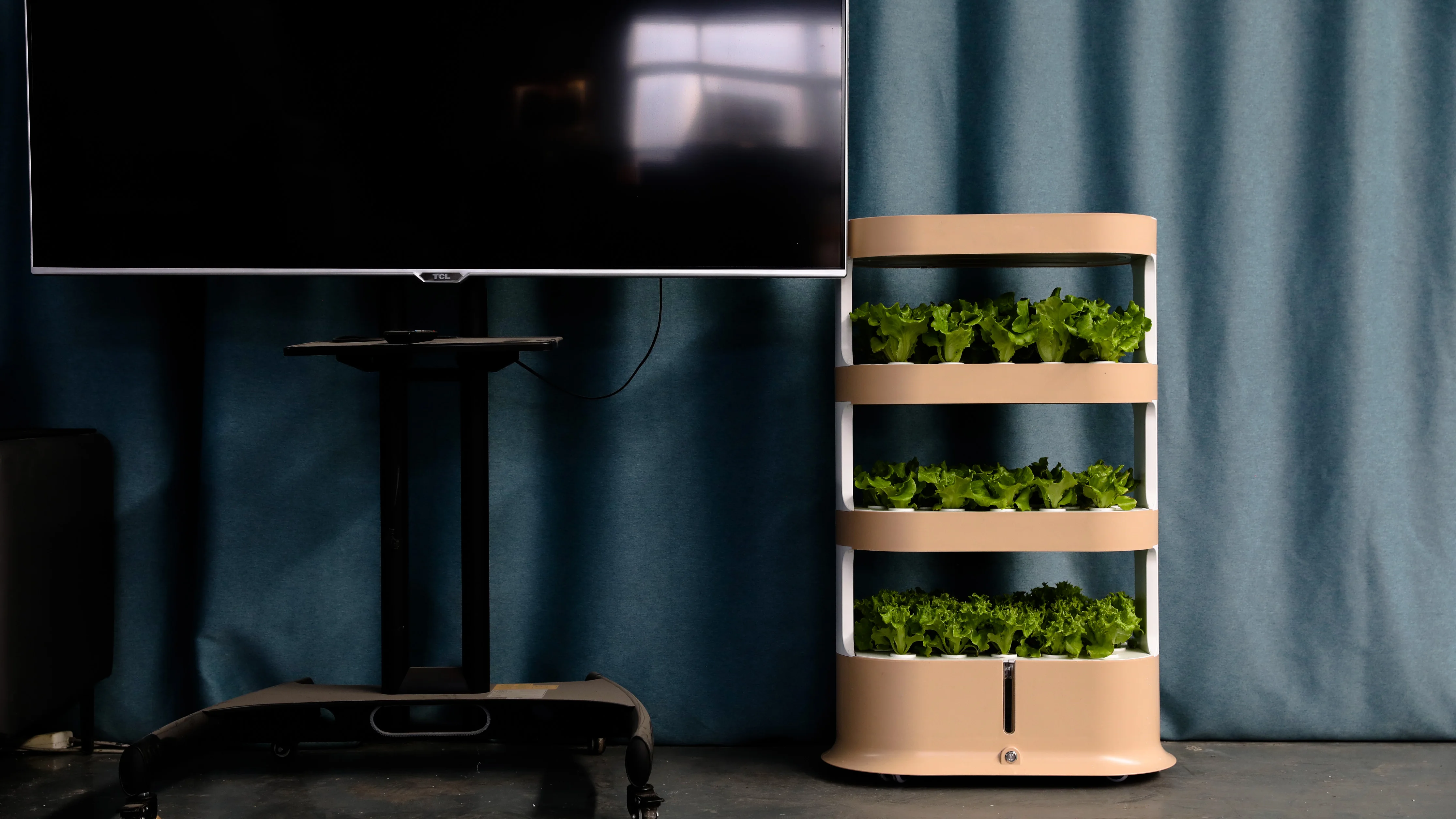 Peternakan Urban dengan Produk - Urban Farming Vegetables ulasan dan harga