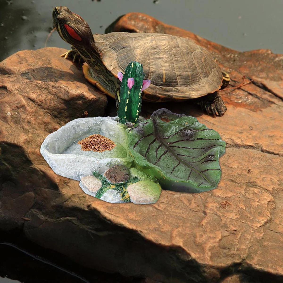 

1Pcs Cactus Design Crawler Bowl Reptile Food Dish Non Absorbent Gnaw Proof Feeder for Dry Food Tortoise Pet