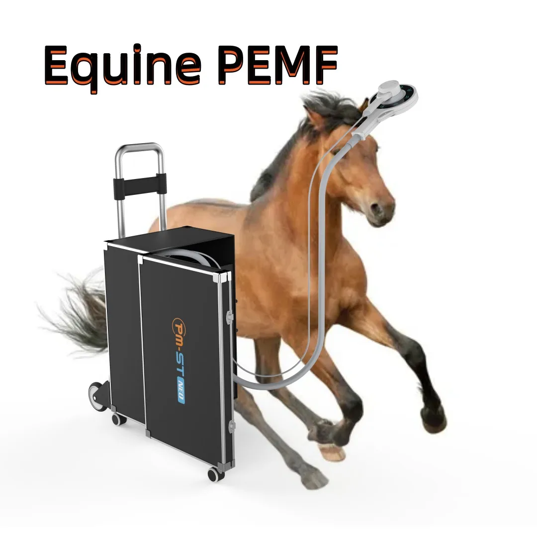 

Equine Physiotherapy Device PEMF Magnetic Therapy For Musculoskeletal or neurologic conditions