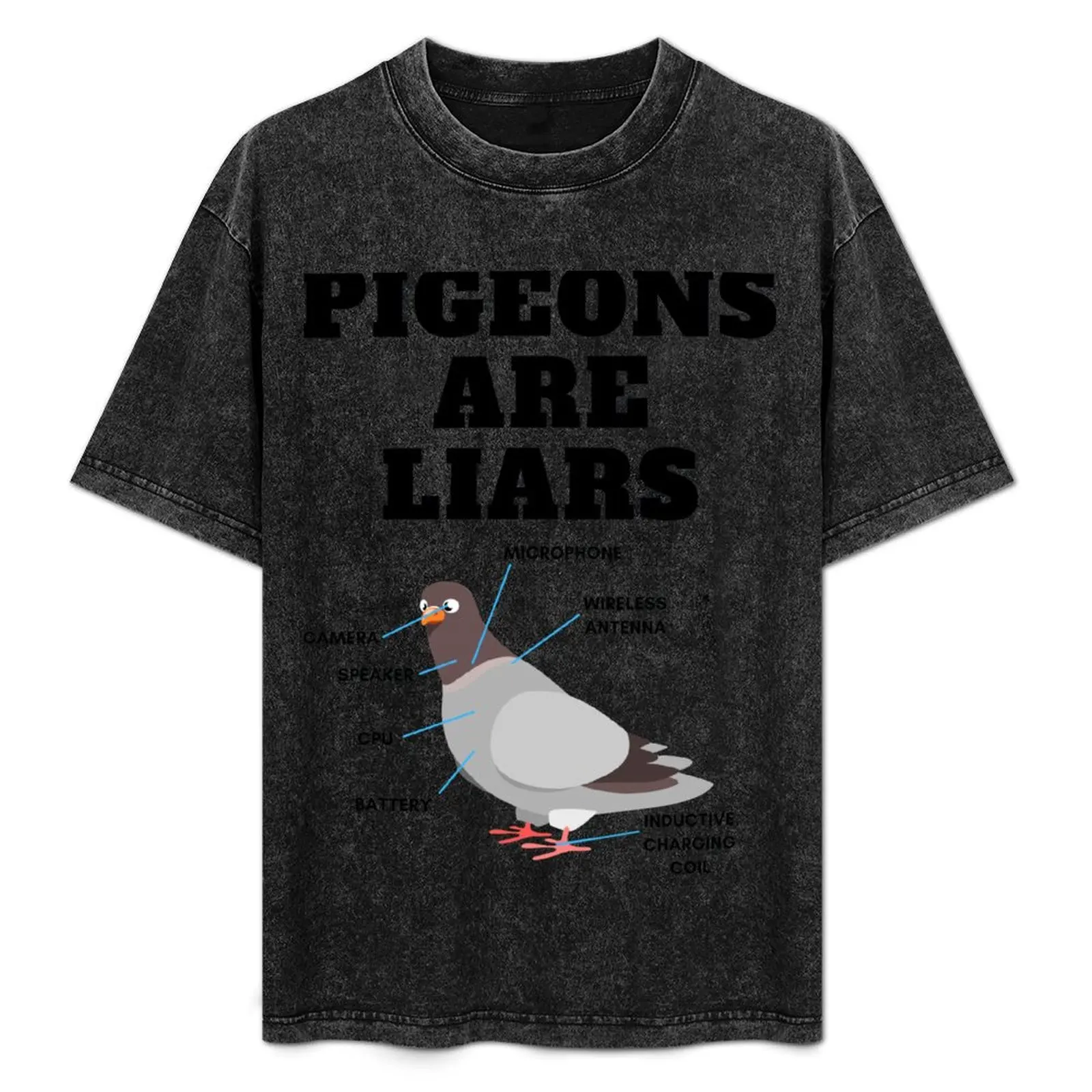 

Pigeons Are Liars, Pigeons Aren't Real T-Shirt Thanksgiving Day Tee Top
