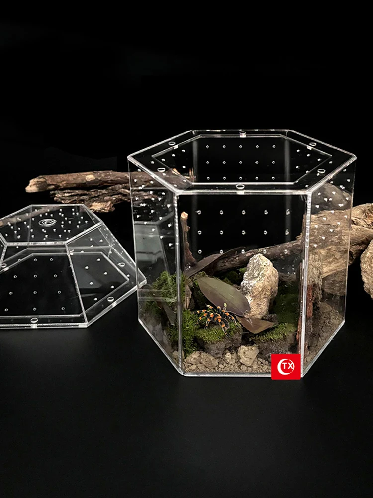 

Terrarium Habitat Acrylic Tortoise Enclosure Full Transparency All-Side Ventilation for Spiders Tarantulas Snail Lizard Reptiles