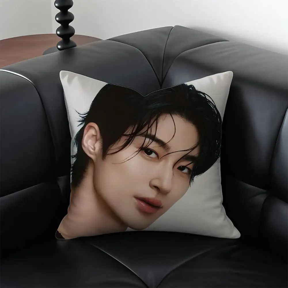 الممثلون والنماذج B-Byeon W-Wooseok كيس وسادة مكافحة الغبار المخدة غير مرئية سستة حريري قصير أفخم غطاء وسادة أريكة