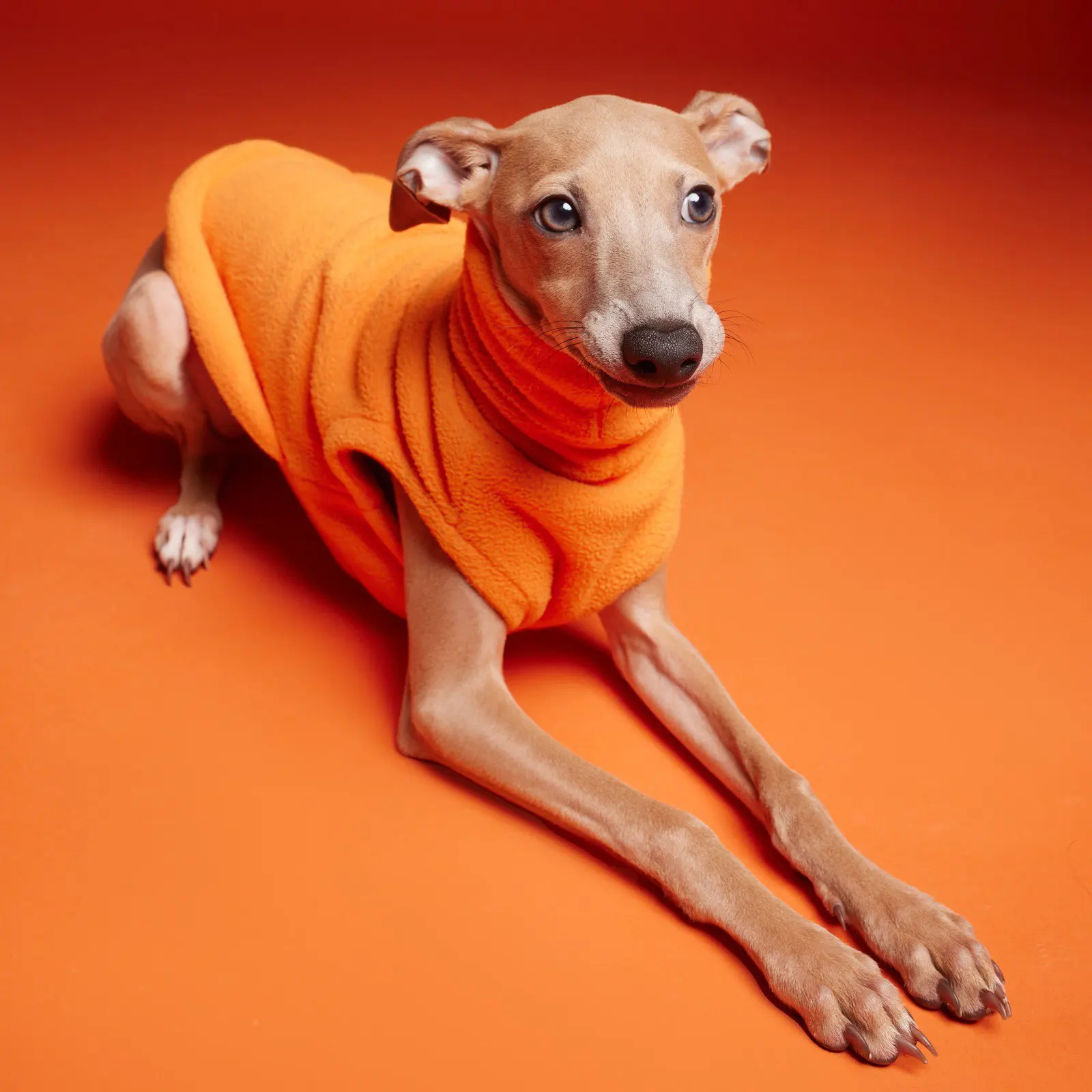 Winter Polar Fleece Italian Greyhound Warm Vest High Collar Double Layer Whippet Small and Medium Dog Coat