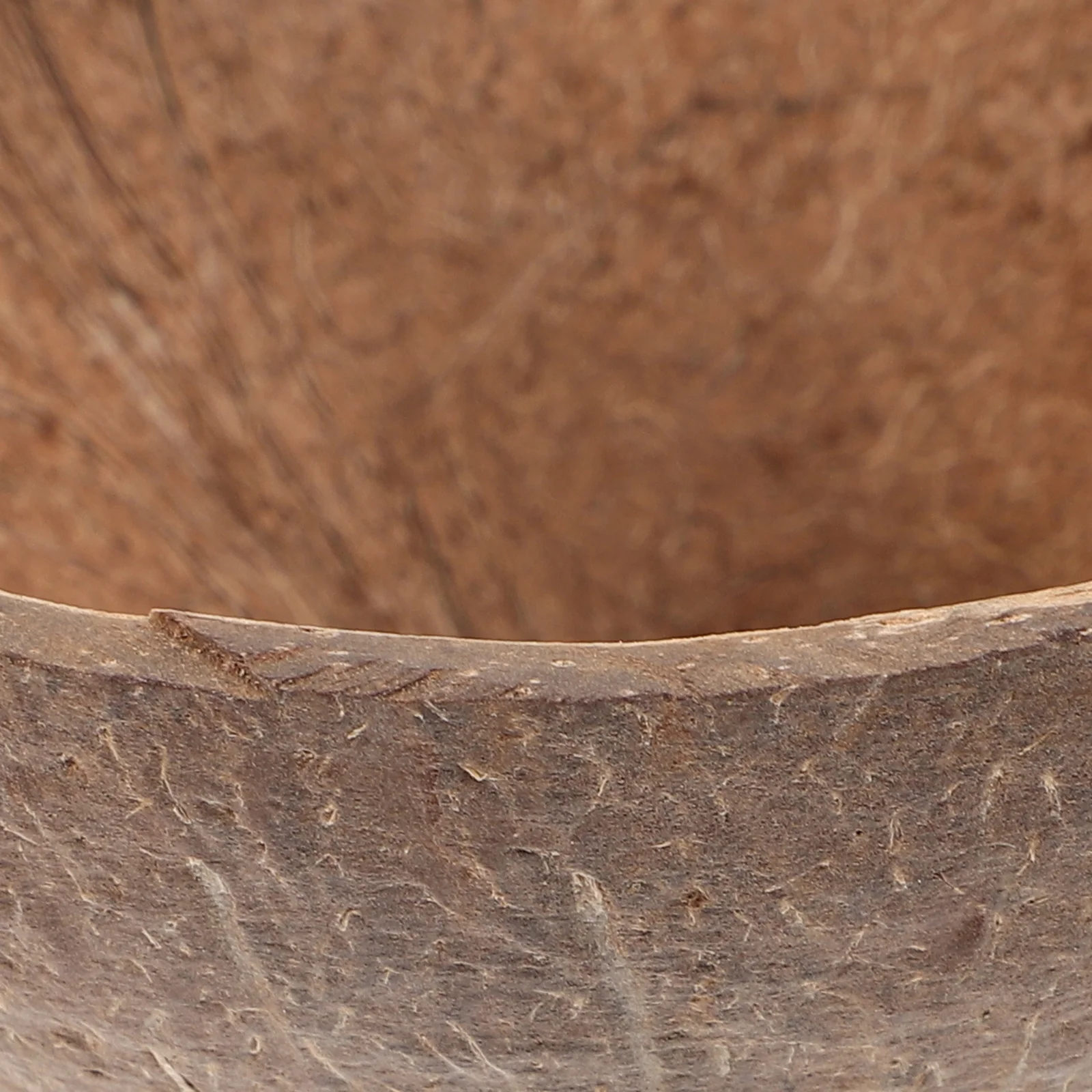 

Coconuts Shell Bird Nest Natural Hanging Bird Cage for Parakeet Budgie Breeding Sleeping Bed Breeding