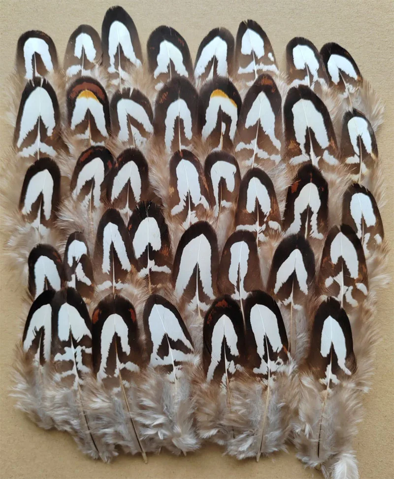 

100/200/500Pieces Natural 5-9cm Black White Reeves Pheasant Feathers DIY Art Craft Jewellery,