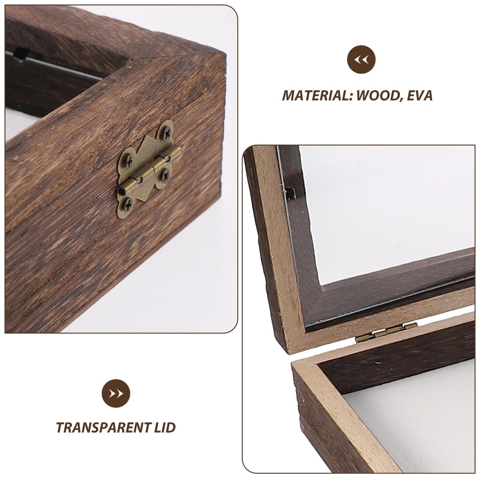 

1Set Wooden Specimen Box Display Case Exquisite Craftsmanship Durable Storage for Insects Plants Collectibles Display Case