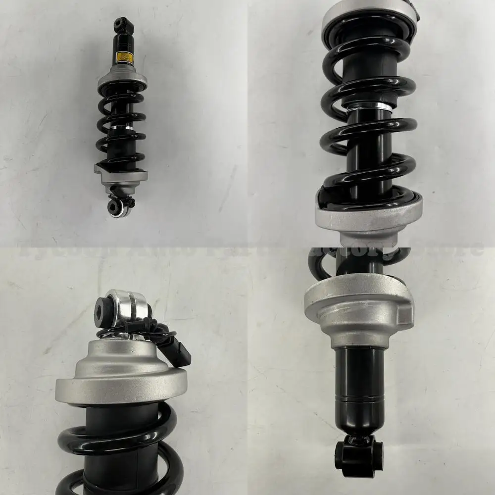 

High Quality 1 Piece Rear Electric Shock Absorber for New Model Audi R8