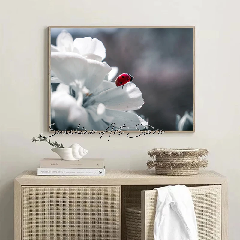Nature Photography Insects Miss Ladybug Red Ladybug in White Flowers Real Photos Poster Canvas Painting Wall Pictures Home Decor