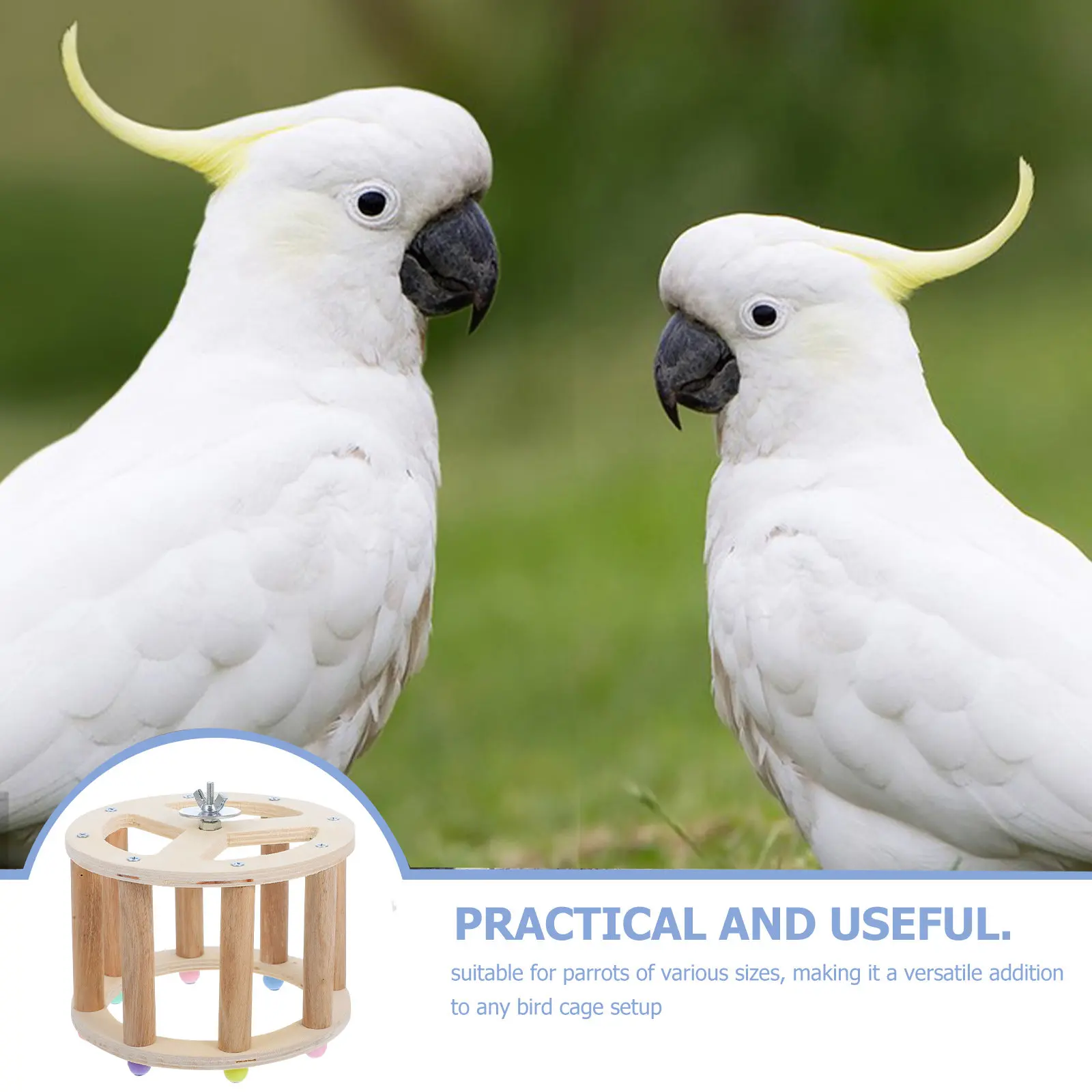 Small Parrot Rotating Wheel Running Cage Accessories Perches Stand Pole Interactive Exercise Bird Perches Compact