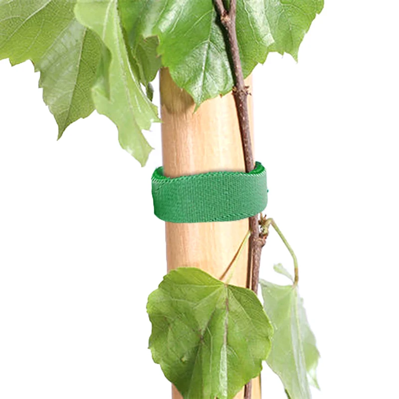 Corbata de vendaje de nailon para plantas, lazos de gancho reutilizables para plantas, cinta de sujeción verde, envoltura de caña de bambú, soporte, accesorios para el hogar y el jardín, 1/3/5M