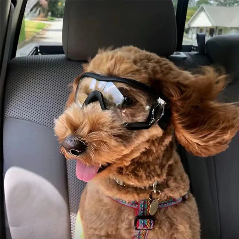 Hunde-Sonnenbrille, UV-Schutz, winddichte Schutzbrille, Haustier-Augenbekleidung, mittelgroßer und großer Hund, Schwimmen, Skating, Brille, Zubehör, Heimtierbedarf