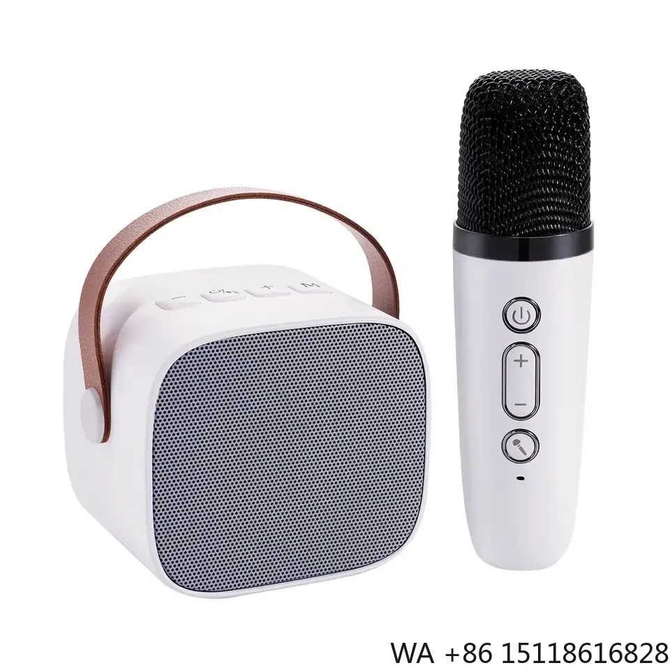 Home Portable Wireless Microphone V5.0 BT Karaoke Speaker for Home System Family KTV Karaoke