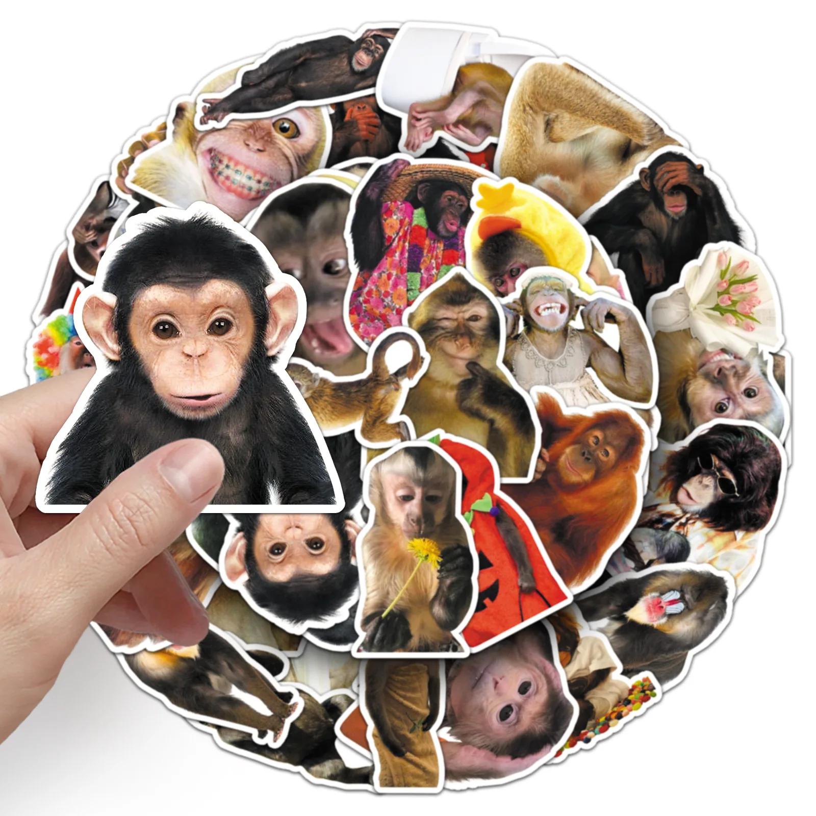 

10/30/50PCS Crazy Monkey Meme Funny Animal Creativity Graffiti Stickers For Phone Bottle Scrapbook Travel Bag DIY Gifts
