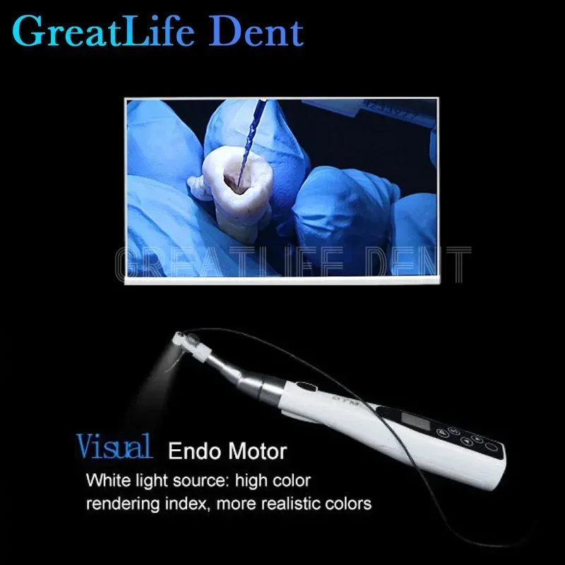 GreatLife Dent ทันตกรรม Micro Intra-Oral กล้อง Real Time WiFi 24 นิ้ว Visual Root Canal Removal/กระจก/Endo มอเตอร์