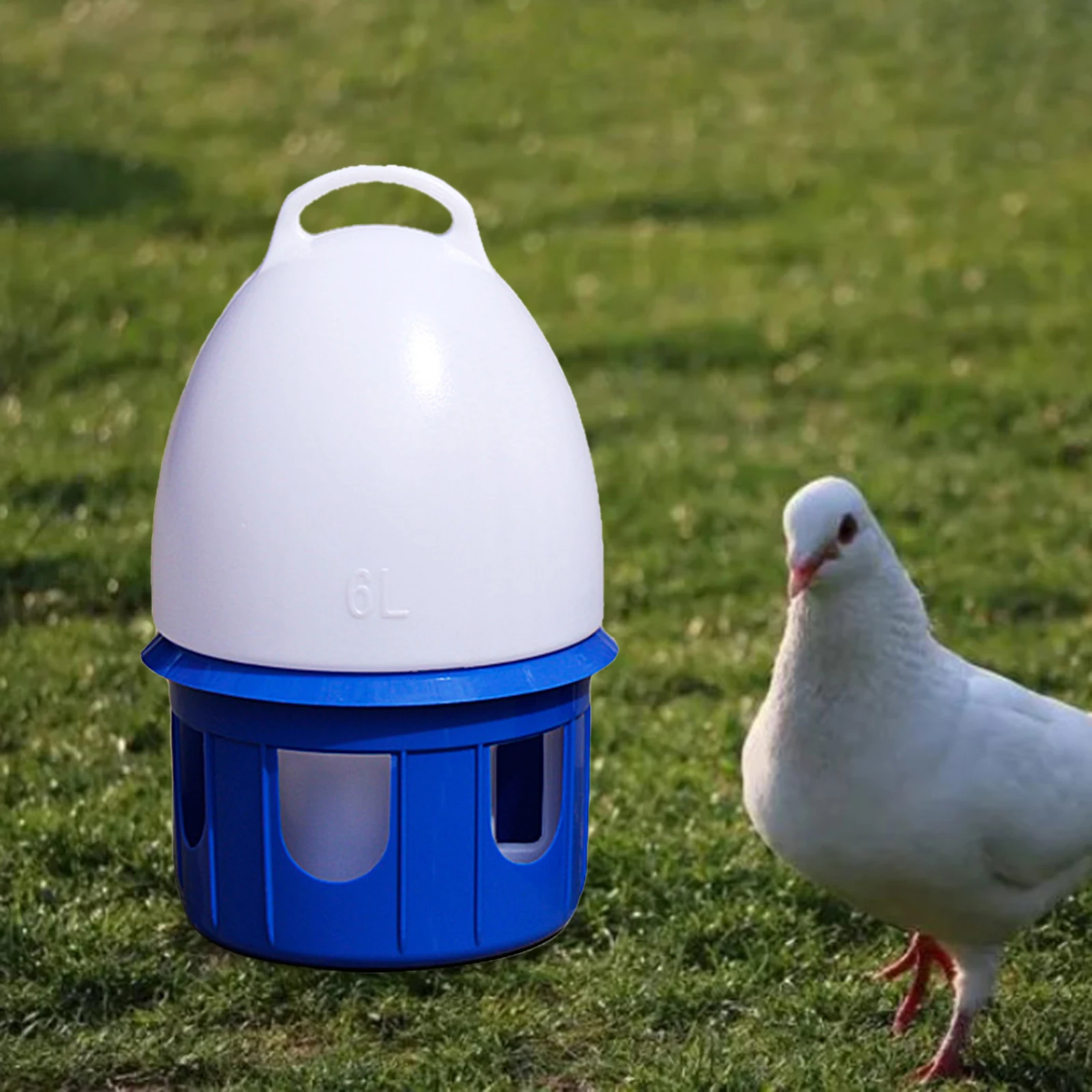 Large Capacity Automatic Bird Water Dispenser Drinker Water Bottle Cage Accessories Water Feeding Pigeon Waterer for Dove Duck