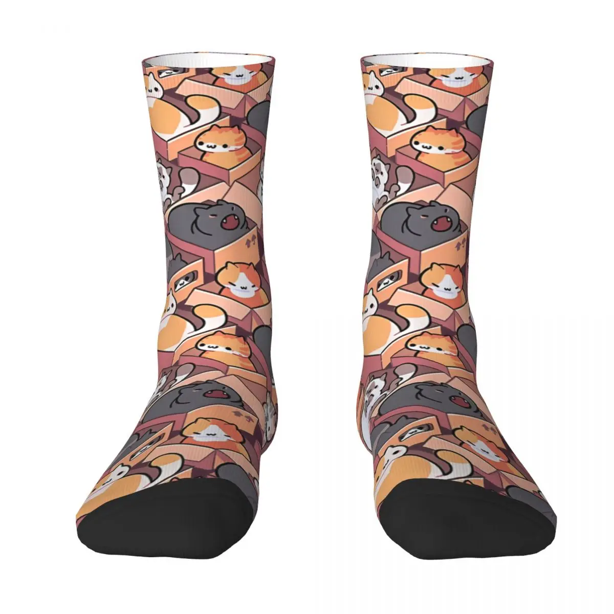 Cats In Boxes Animal Kittens Kawaii Socks School Cartoon Pattern Socks