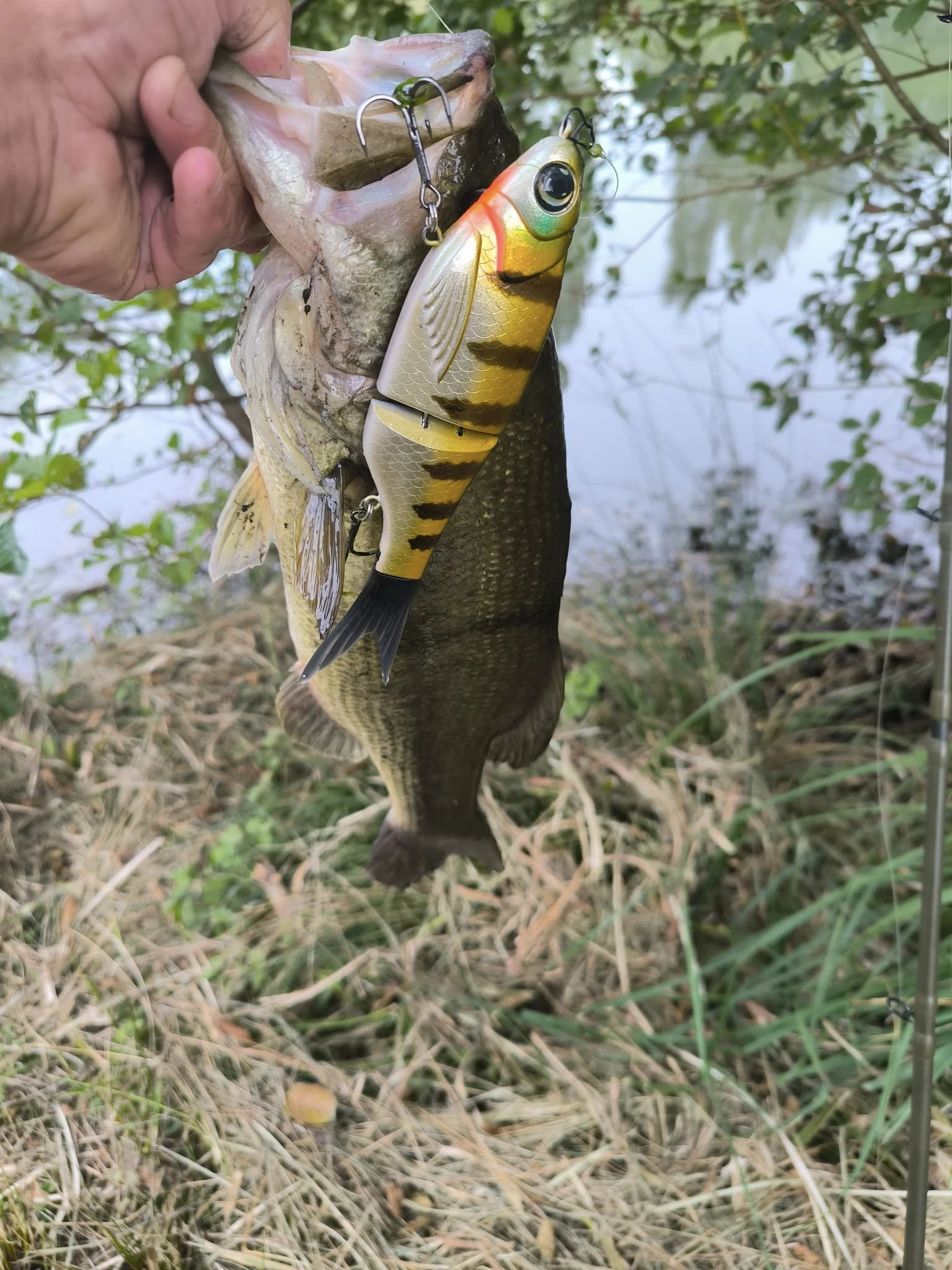 Nr.: 215 mm 73 g Amata Glide Swimbait-Köder, langsam sinkende Silikon-Wobbler für Hecht, Bass, Shad Glide, Swimbait-Angelköder – Detail 1