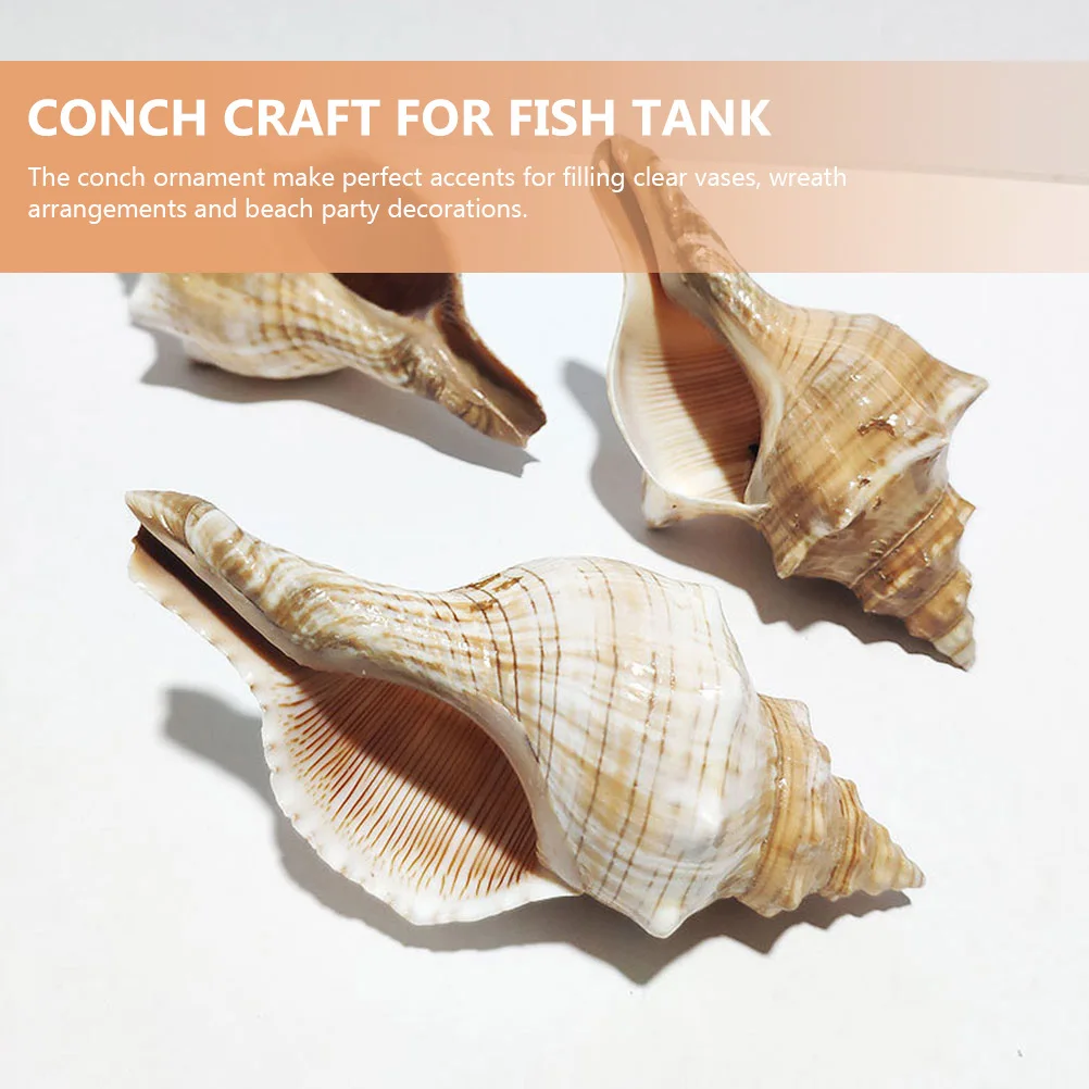 Creative Shell Decor Natural Conch For Aquarium Landscape Craft Desktop Decoration Diy Beach Party Vase Filler Exquisite