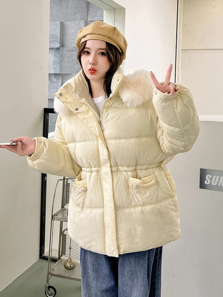 Winter New Down Cotton Jacket Women\'s Korean Cotton Padded Thicken Warm Fur Collar Hooded Parkas Female Windbreaker Coats