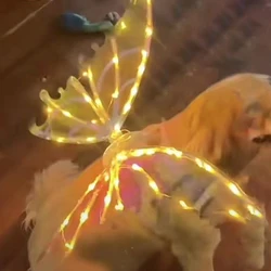 Electric Fairy Wings Light Up for Cat Dog Girls Costume Elf Luminous Music LED Dress Up Props Angel Princess Winngs Pet Party