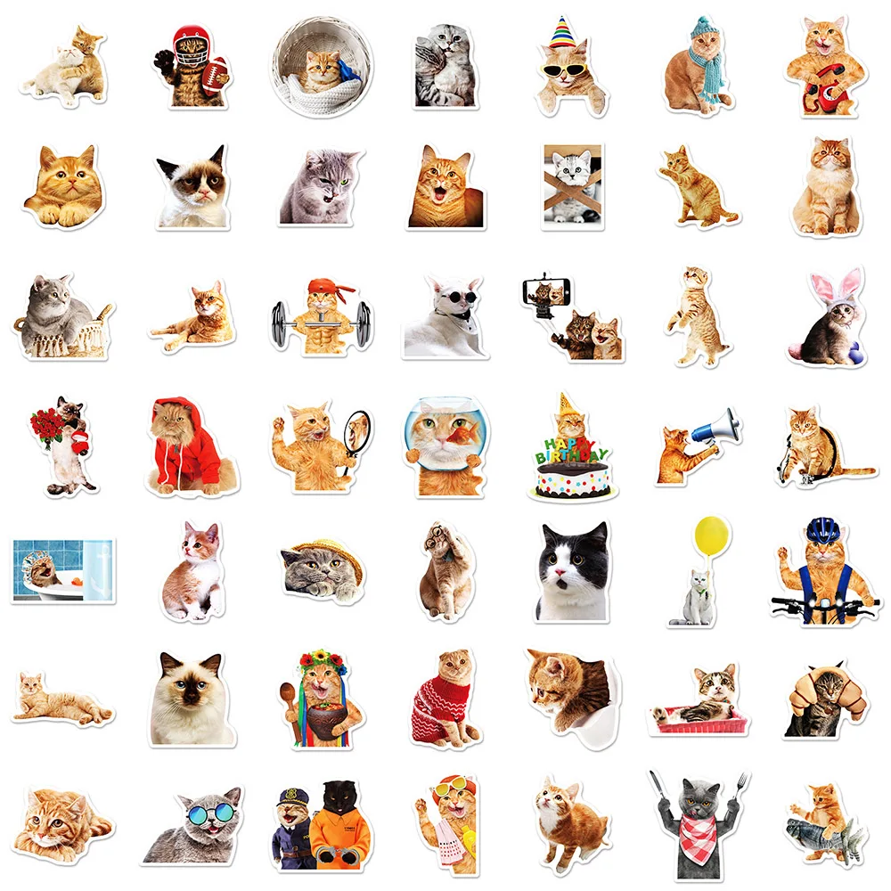 10/30/50 Stuks Grappige Kat Meme Dieren Cartoon Stickers Speelgoed Diy Notebook Motorfiets Laptop Waterdichte Grap Graffiti Stickers Packs