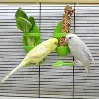 1Pc Bird Cuttlebone Holder Bird Cage Feeding Holder Vegetable Fruits Cuttlebone Holder for Parrot Parakeet Bird Feeder