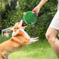 Interactive Football Dog Toys Puppy Soccer Ball Toys with Bell Outdoor Dog Training Toys Pet Bite Chew Toy for Small Medium Dogs