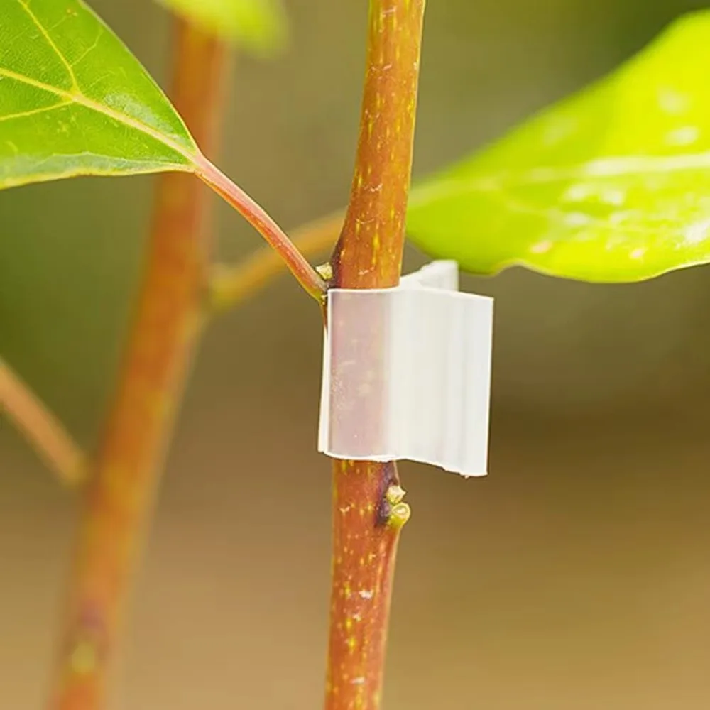 100pcs Fixed Special Grafting Clips Reusable Plastic Seedling Clips Bundled Grafting Clamps Garden