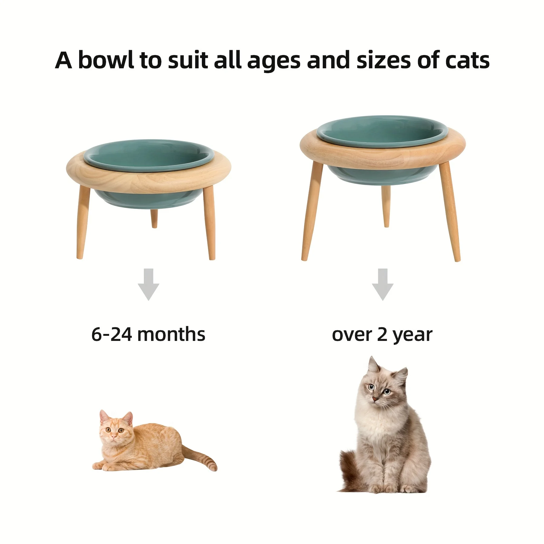 Ceramic Elevated Cat Bowl Adjustable Raised Dog Food Water Bowl Small Medium Dogs Drinking Eating Feeder Pet Feeding Supplies