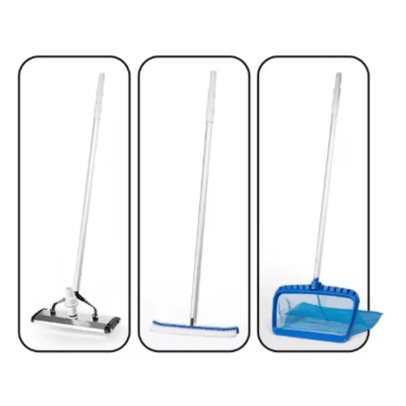 Complete Set Swimming Pool Vaccum Cleaner Electric Swimming Pool Cleaning