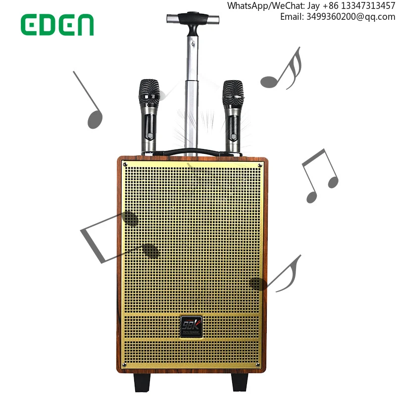 

8/10 Inch Trolley Speaker Dj Karaoke Music Loud Outdoor Blue Tooth HIFI Subwoofer Wireless Mic Wooden Speaker