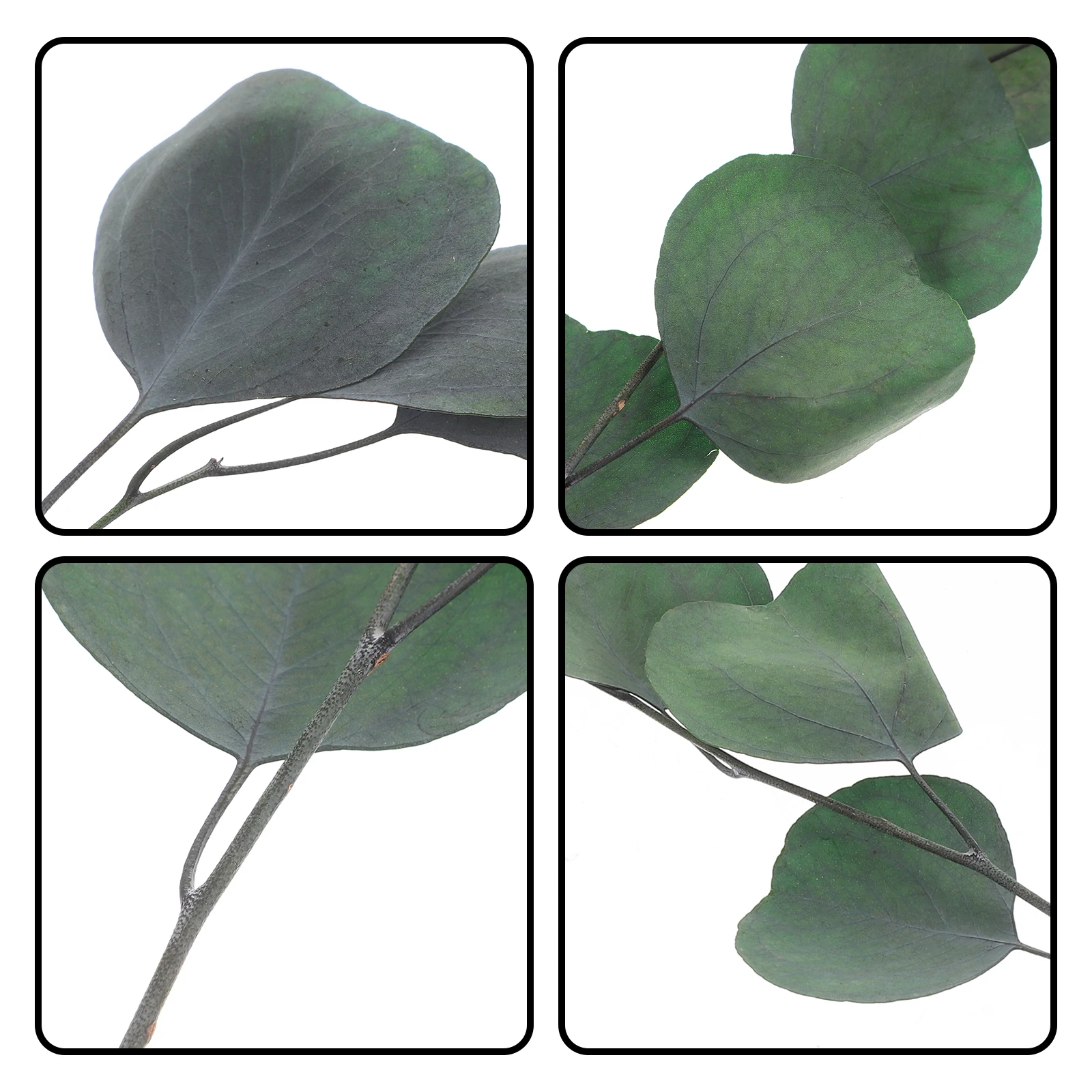 

1 Bundle Immortal Eucalyptus Leaves Dried Eucalyptus Stems Preserved Natural Decorative Fillers For Vase Wedding Home Farmhouse