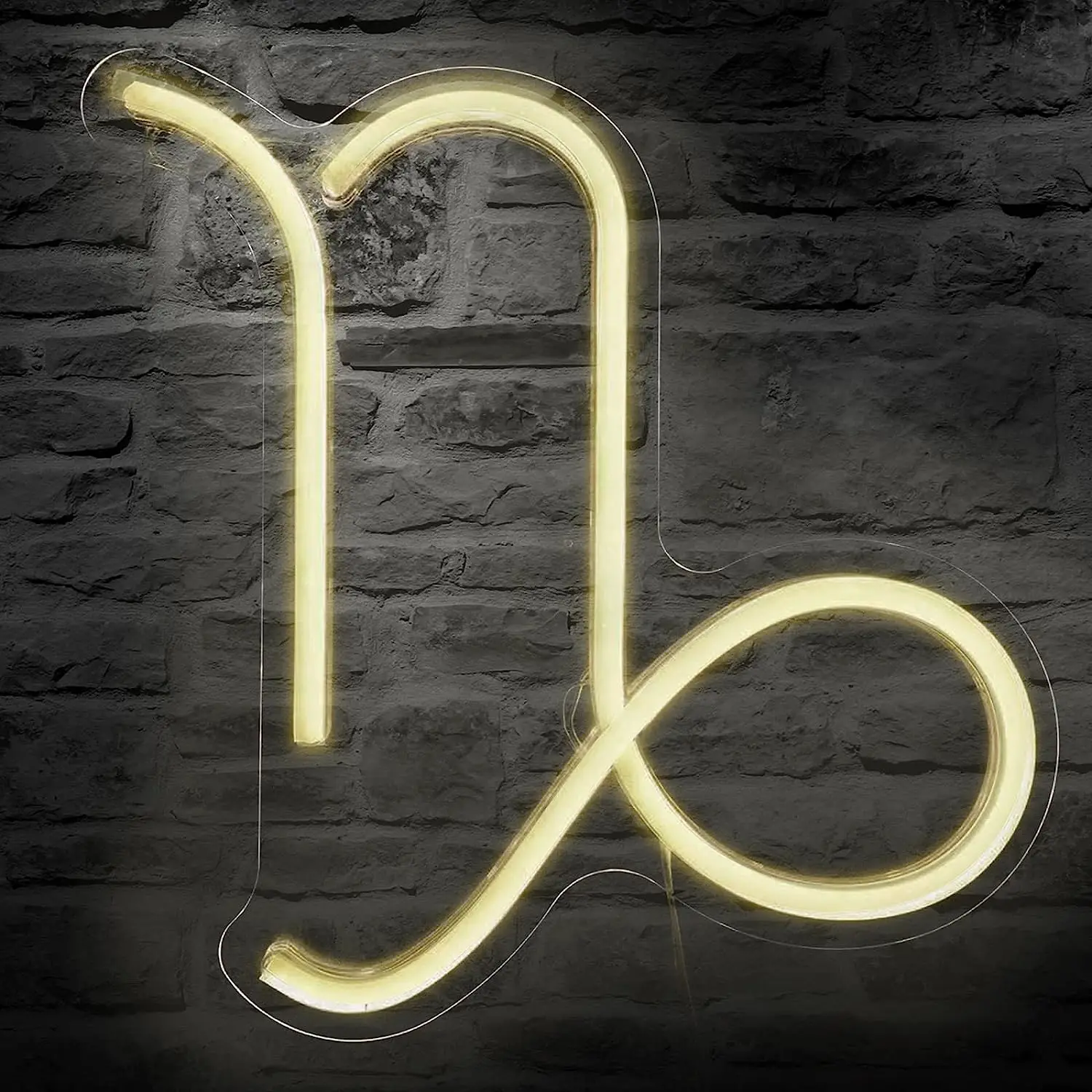 

Zodiac Horoscope Sign Capricorn Neon Signs for Wall Decor Constellation Neon Light Astrology Birthday Gifts Warm White Color