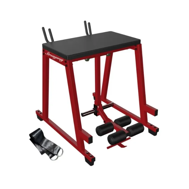 

Commercial Gym Strength Equipment Plate Loaded Reverse Hyper Extension Machine