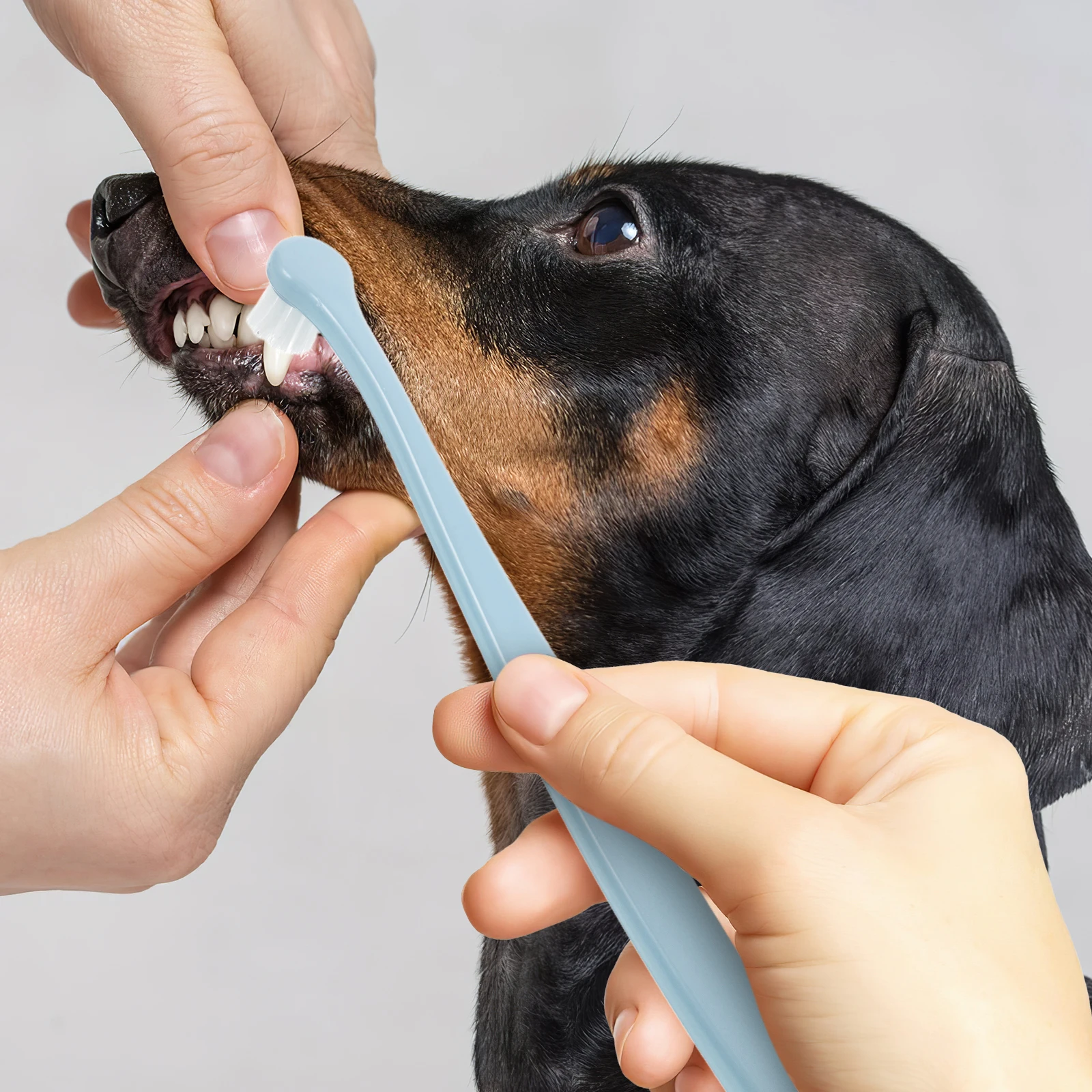 

Pet Toothbrush Cat Brushing Kit Round Head Teeth Care Tpr Dog Accessories Deep Clean Toothbrushes