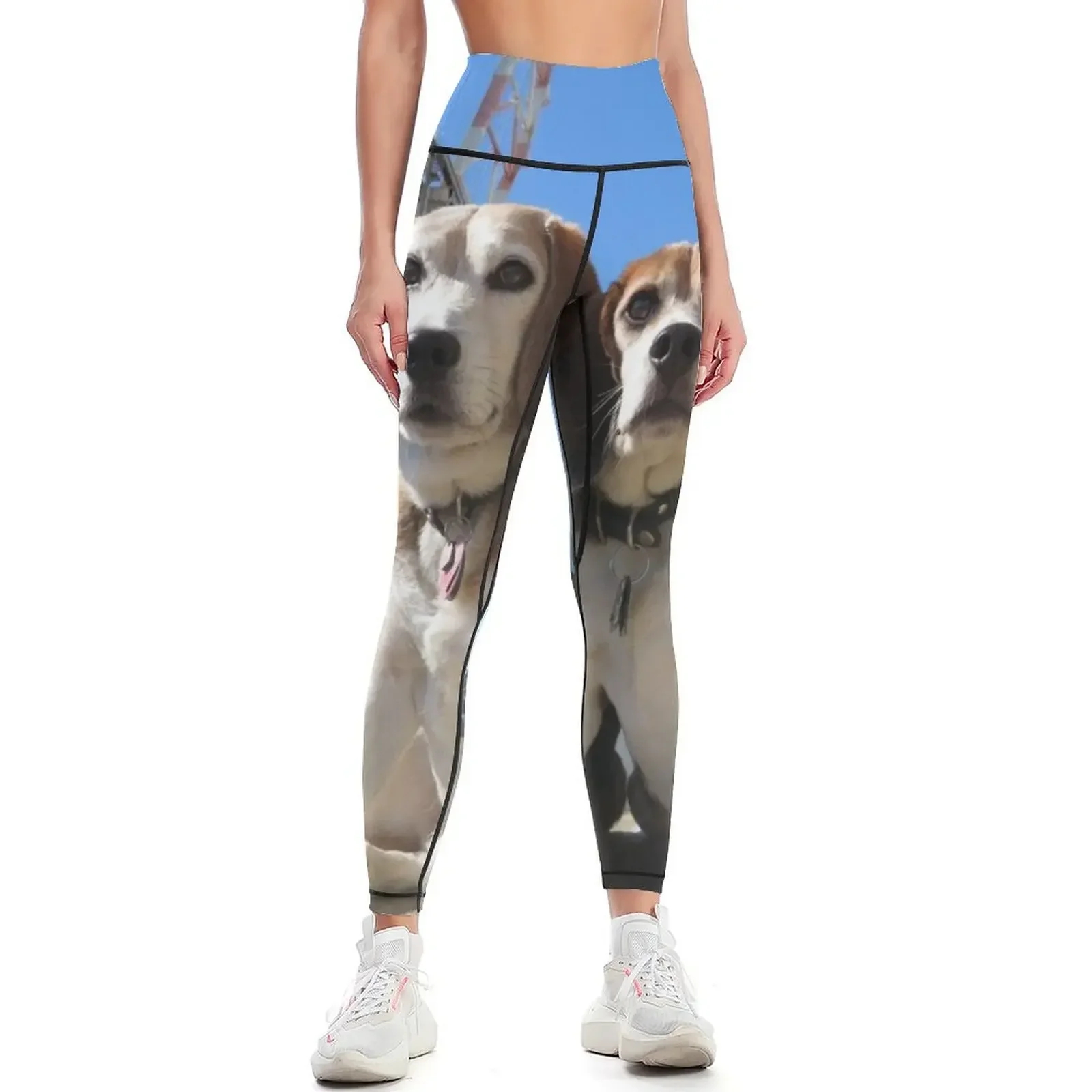 

Indomitabeagle Leggings Women's pants Women's tights Tight fitting woman sport legging Womens Leggings