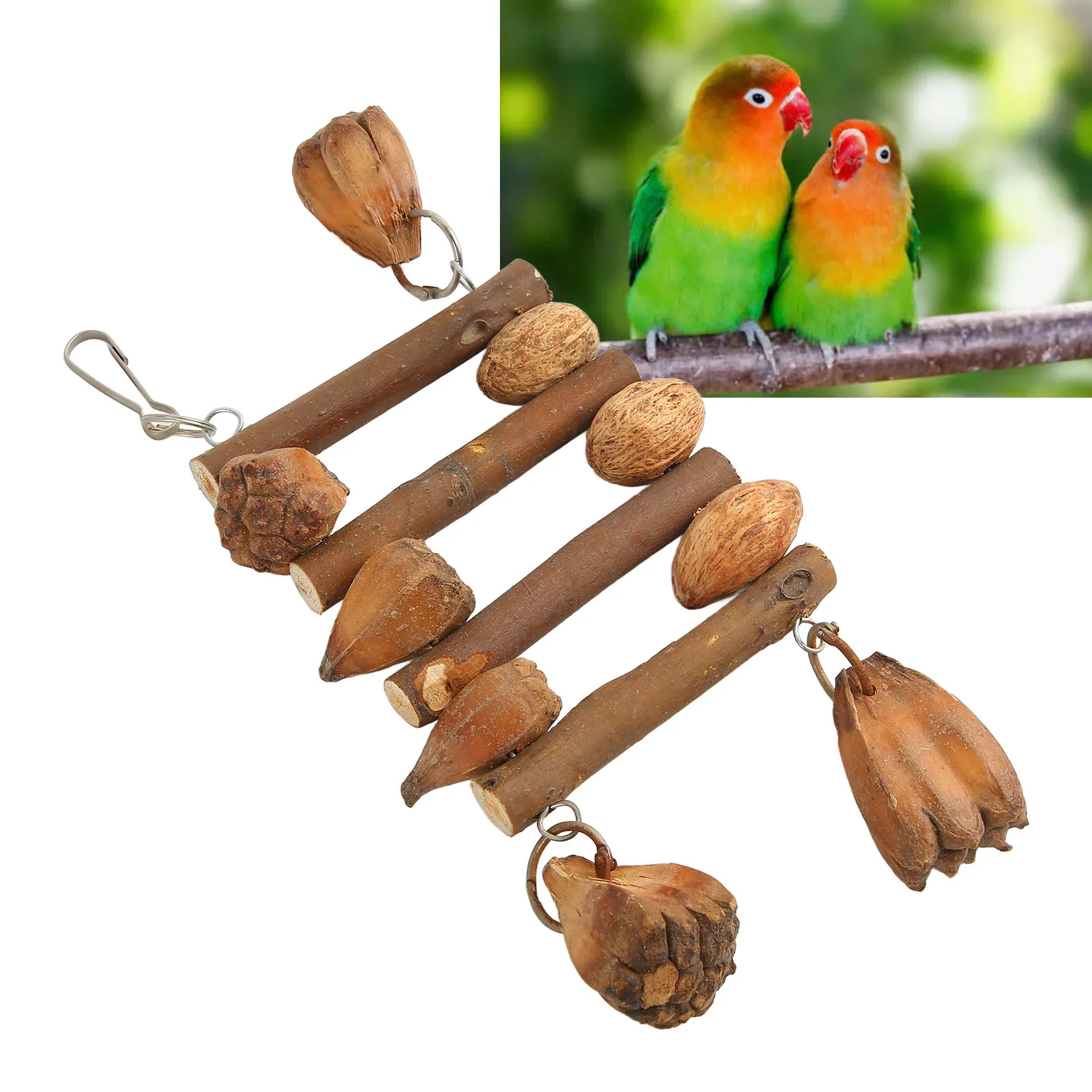 Bird Chew Toys Natural Logs Nuts Hand Crafted Parrot Cage Bite Toy For Macaw Lovebirds Parakeet Cockatiel