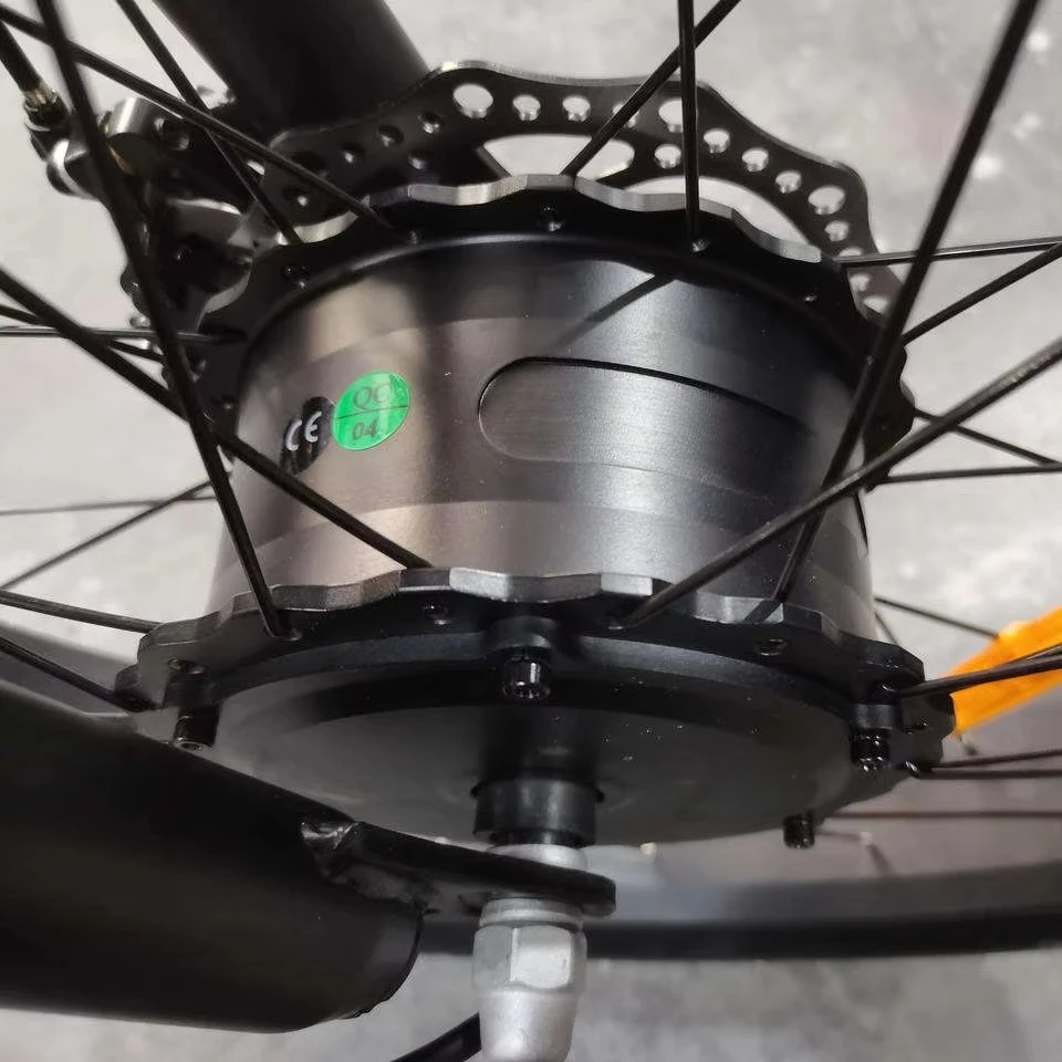 BRElectric Fat Bike 3 Wheel Cargo Bicycle Electric Trike Tricycle Adult Cargo Electric Bike Mid Drive Motor Electric Trike
