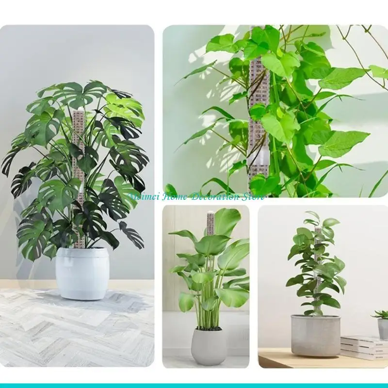 

H7BF 4 шт. столбы для мха 17,7 дюймов столбы для мха Монстера поддержка растений пластиковые столбы для мха для растений